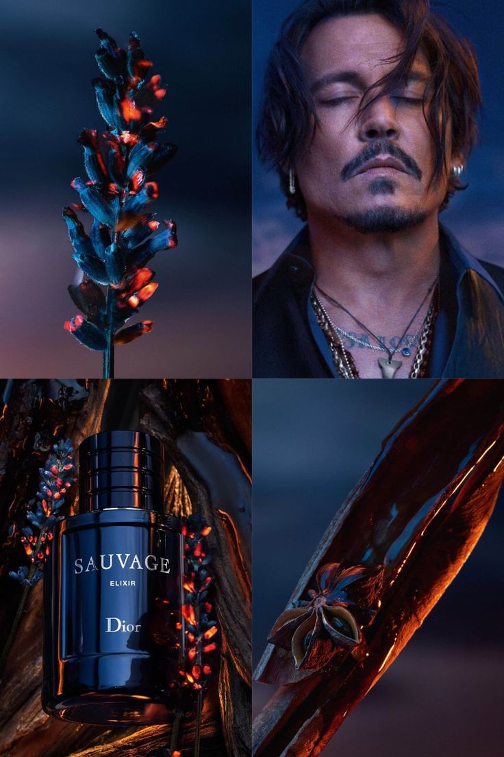 Sauvage Dior 100 ml Eau de Parfum [Pure] - ZIOR