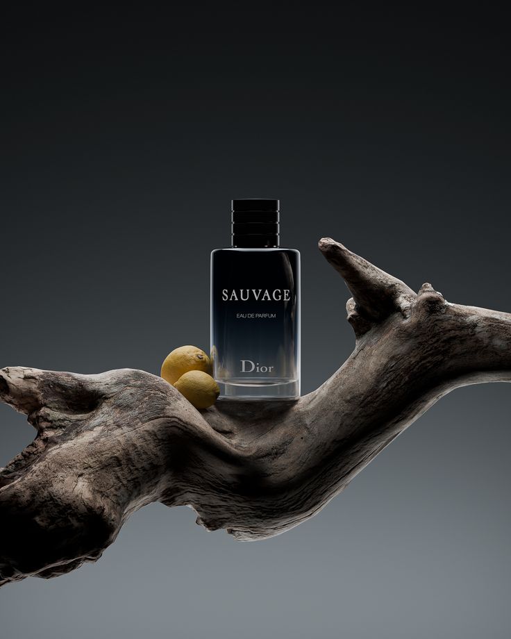 Sauvage Dior 100 ml Eau de Parfum [Pure] - ZIOR